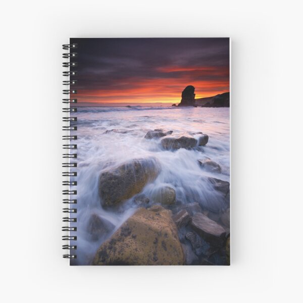 Winters dawn Spiral Notebook