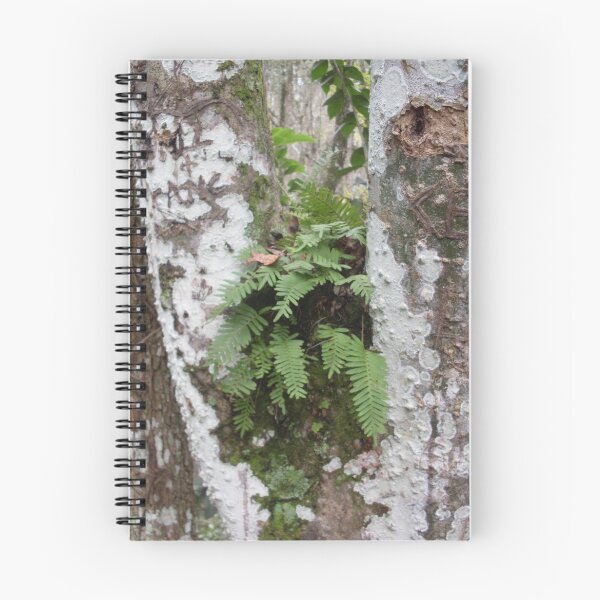 Item preview, Colorful Bark and Fern designed and sold by Warren  Thompson.