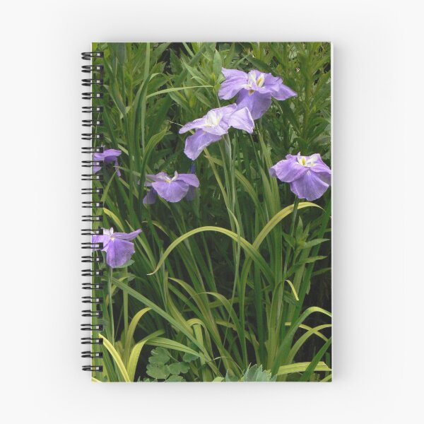 Item preview, Tall blue flag irises designed and sold by MischaC.