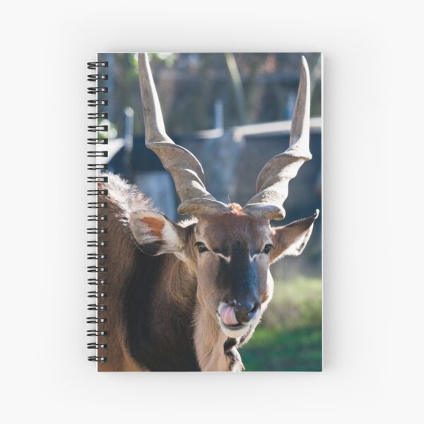 Item preview, Eland Portrait designed and sold by Nickolay Stanev.