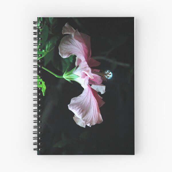 Item preview, Pink Hibiscus Plays designed and sold by Helena Haidner.
