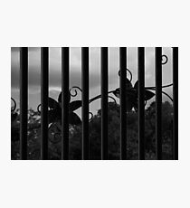 Iron Fence with Flowers Photographic Print