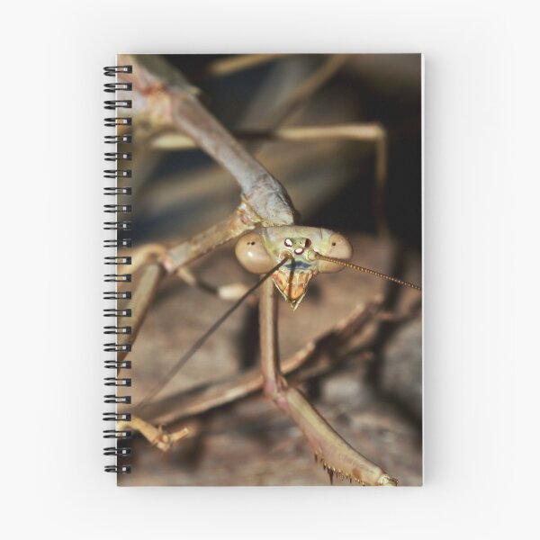 Item preview, Mantis designed and sold by Jason Asher.