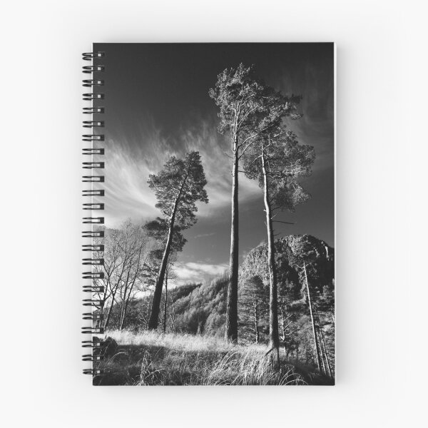 Item preview, Thirlmere Trees designed and sold by robbos.