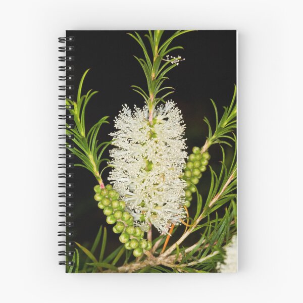 Item preview, Yellow Bottlebrush designed and sold by Chris Cobern.