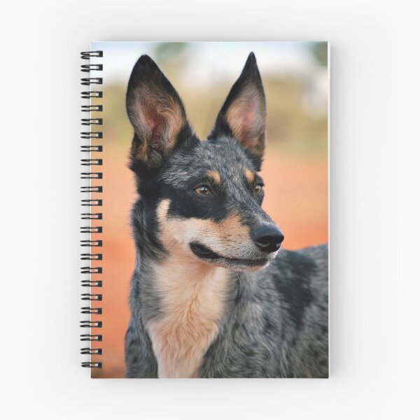 Item preview, Absorbed  designed and sold by Coolibah.