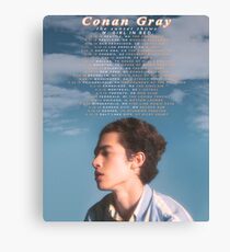 conan grey sunset zeigt Sonnenuntergangsaison Leinwanddruck
