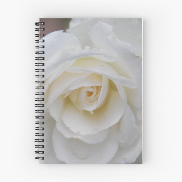 Item preview, Flushed Out White Rose designed and sold by MissyD.