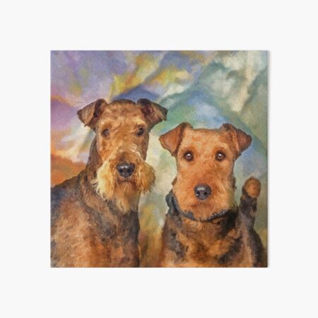 Airedale Terriers Portrait Mixed Media Art Board Print