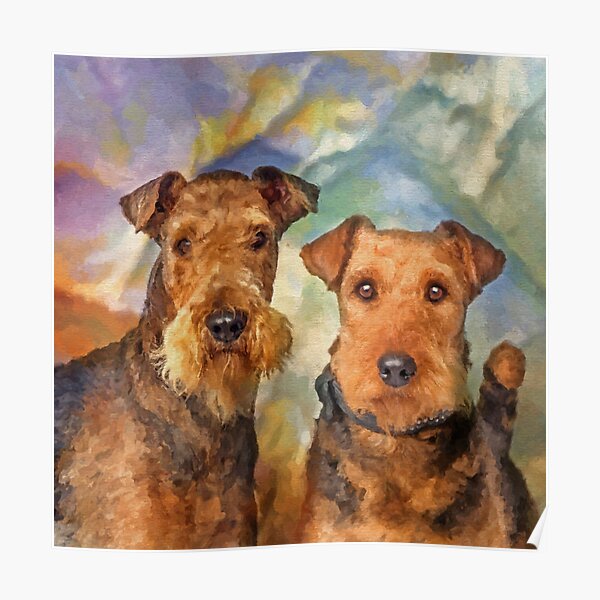 Airedale Terriers Portrait Mixed Media Poster