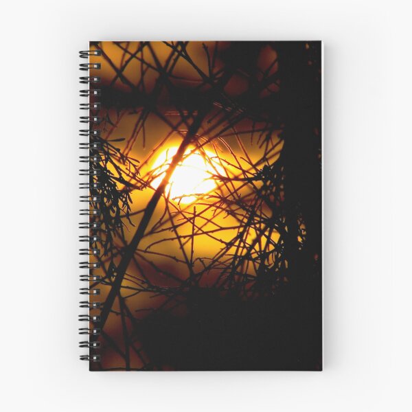 Artikelvorschau, 'never shoot the sun' entworfen und verkauft von basimpleasy }.