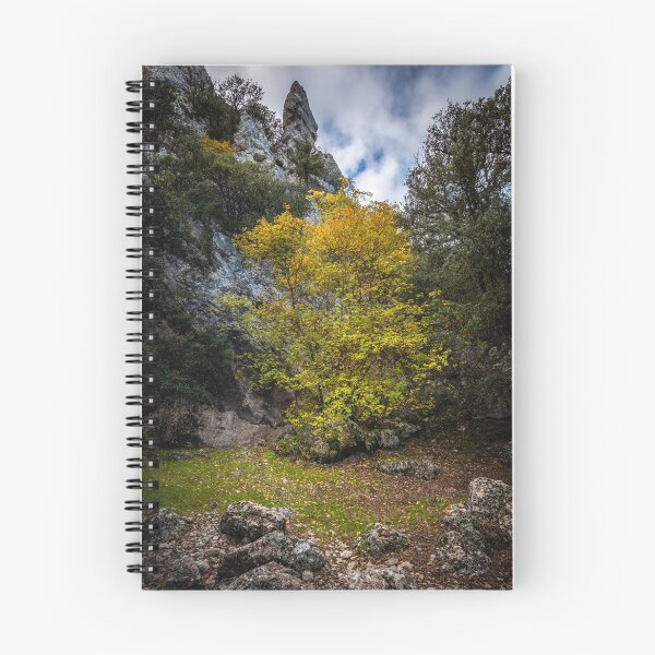 Item preview, Bright between the rocks designed and sold by Ralph Goldsmith.