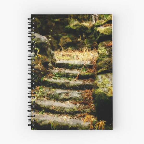 Artikelvorschau, Old Stairway entworfen und verkauft von Sherrie Chavez.