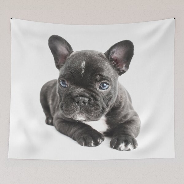 Item preview, Cutie designed and sold by ernest123.