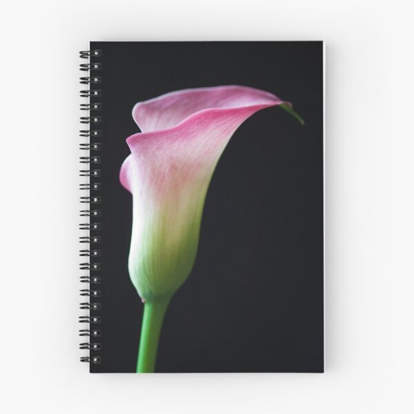 Item preview, Simply a Calla designed and sold by Lynne Morris.