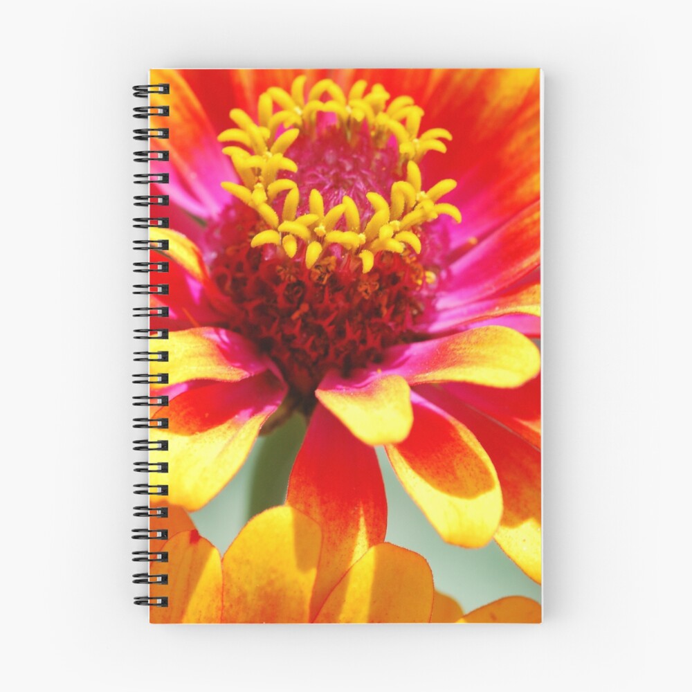 Item preview, Spiral Notebook designed and sold by Octoman.
