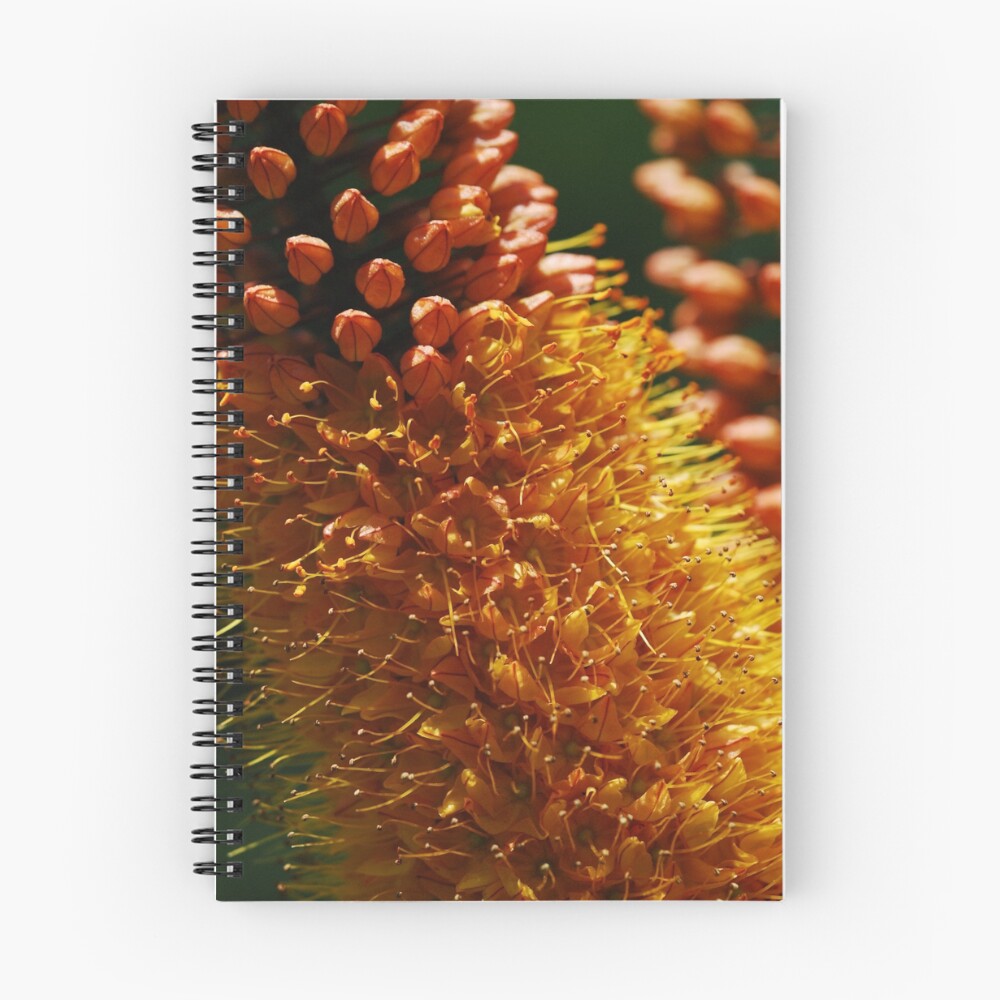 Item preview, Spiral Notebook designed and sold by Octoman.