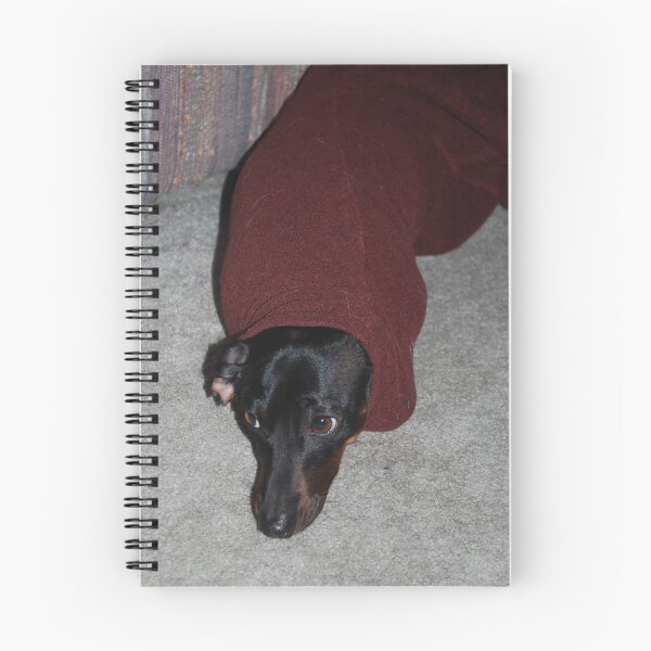 Item preview, Weiner in a Sleeve designed and sold by Taylor Russell.