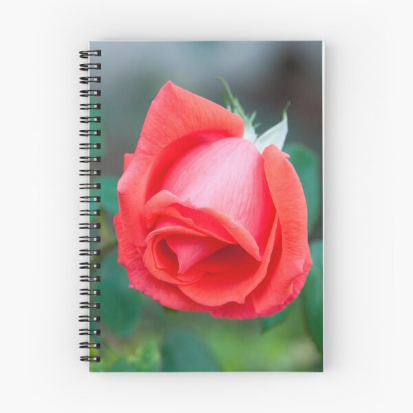 Item preview, Red Rose 2 designed and sold by Ken Koury.