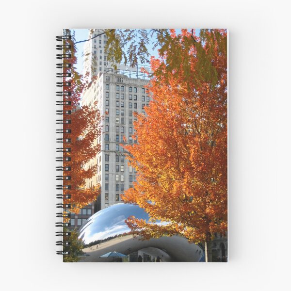 Aperçu de l'œuvre Fall in Chicago créée et vendue par Octoman.