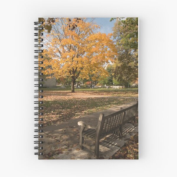 Item preview, Autumn in toronto designed and sold by alopezc72.
