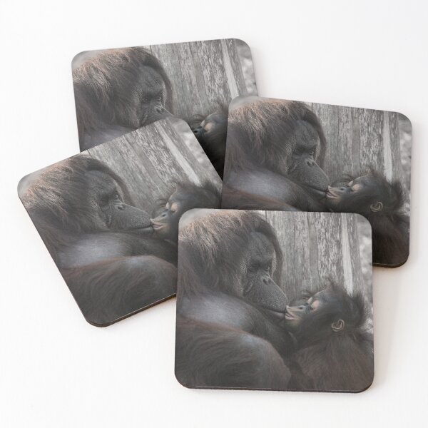 Item preview, Baby Orangutan Kissing Her Mom designed and sold by rawshutterbug.