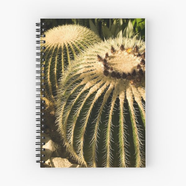 Item preview, Cactus in greenhouse designed and sold by alopezc72.
