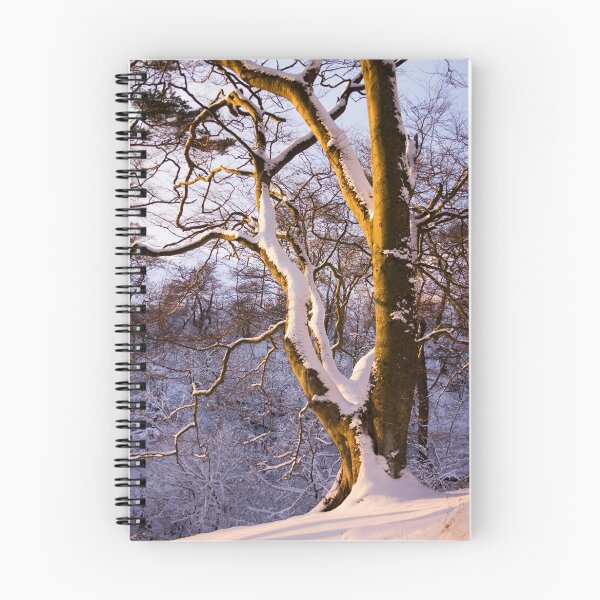 Item preview, Branching Out designed and sold by Lynne Morris.