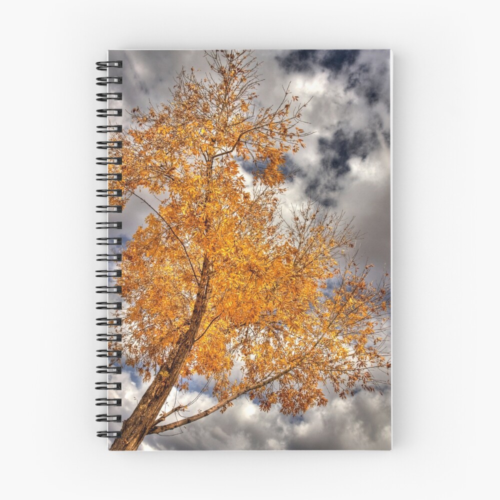 Item preview, Spiral Notebook designed and sold by scullumber.