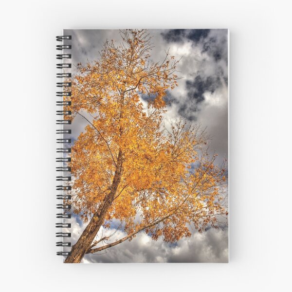 Item preview, Autumn Splendor designed and sold by Sue  Cullumber.