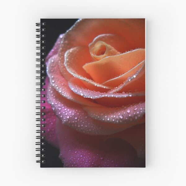 Item preview, Gentle Rose. designed and sold by Vitta.