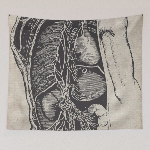 Item preview, Human body vintage anatomy skecth designed and sold by fishercraft.
