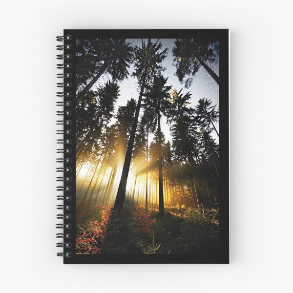 Item preview, Into The Light designed and sold by Marco Heisler.