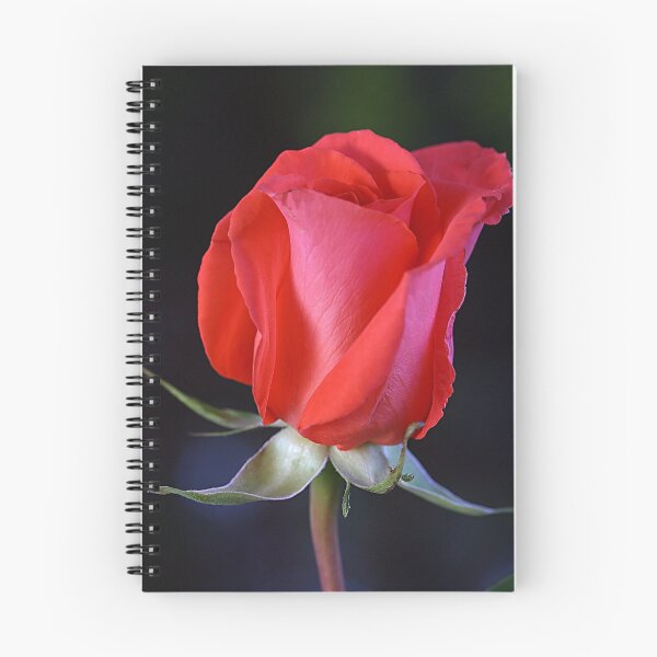 Item preview, Red Rose designed and sold by Chesil.