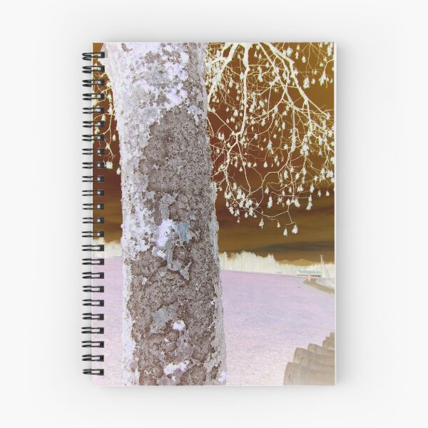 Item preview, Magical Tree  designed and sold by angel1.