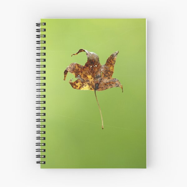 Item preview, Levitation designed and sold by WorldDesign.