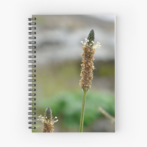 Item preview, plantago designed and sold by tego53.