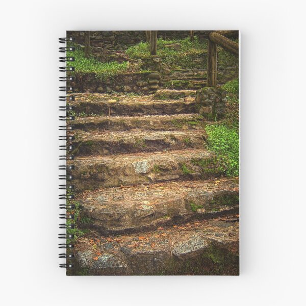 Item preview, Goals Are Achieved One Step At A Time designed and sold by pat gamwell.