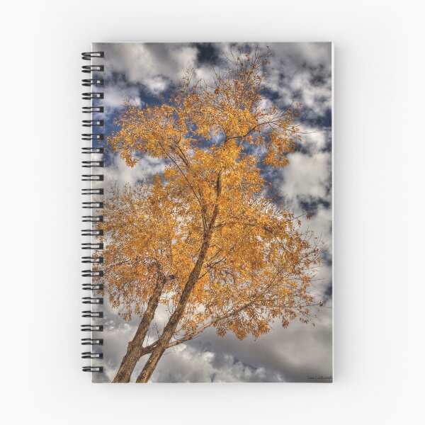 Item preview, Autumn Gold designed and sold by Sue  Cullumber.