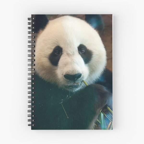 Item preview, Giant Panda designed and sold by Cathy Grieve.