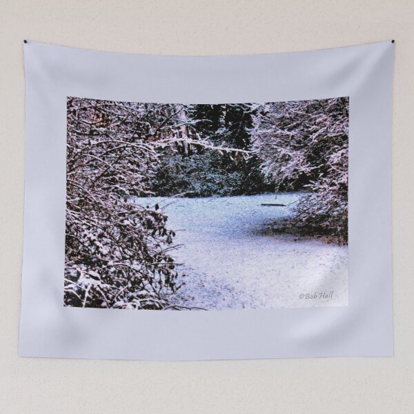 Item preview, "SNOWY TRAIL," Photo, prints and products designed and sold by Bob Hall©.