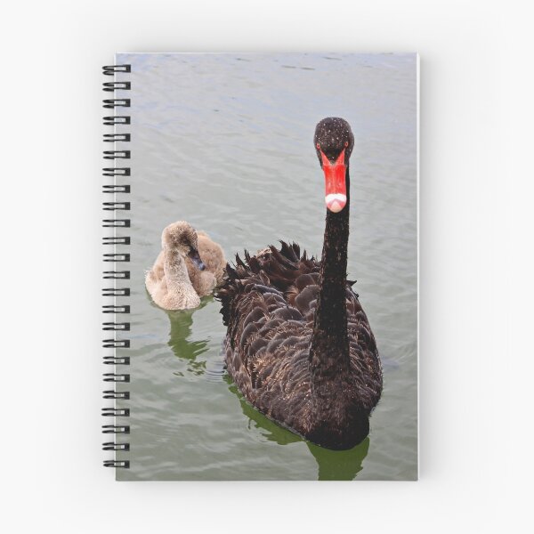 Item preview, What? designed and sold by Joanna Beilby.