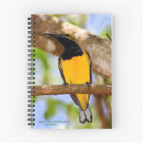 Item preview, The male sunbird designed and sold by robmac.