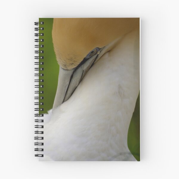 Item preview, Australasian Gannet designed and sold by Tamara  Kenneally.