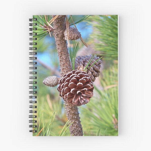 Item preview, Cone of the Pitch Pine designed and sold by Dandelion Dilluvio.
