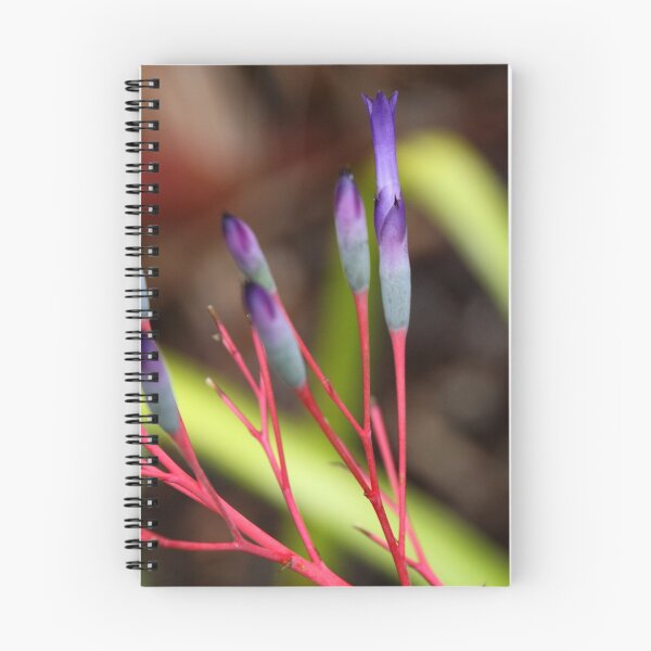 Item preview, Bromeliad designed and sold by Natalie Ord.