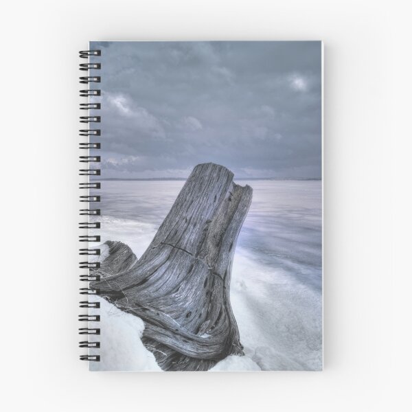 Item preview, Winters Shore designed and sold by Heather  Waller-Rivet  IPA.