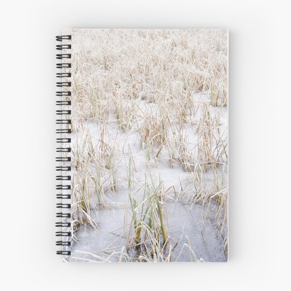 Item preview, Frozen World - Reed designed and sold by Walter Quirtmair.