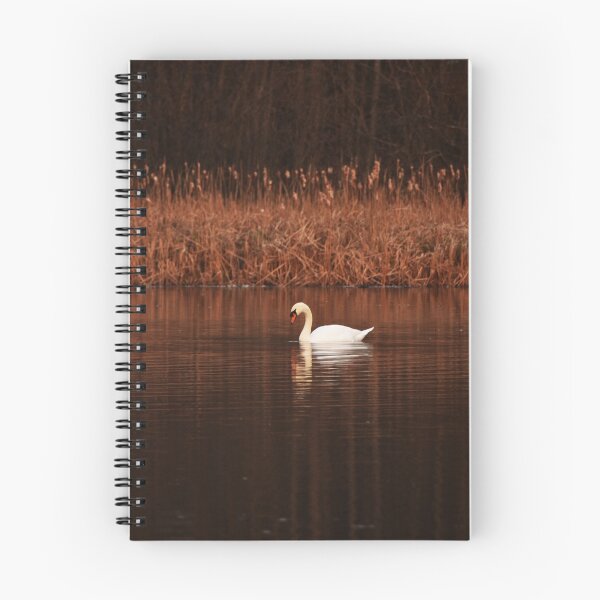 Item preview, Sunset Kissed Swan..... designed and sold by Poete100.