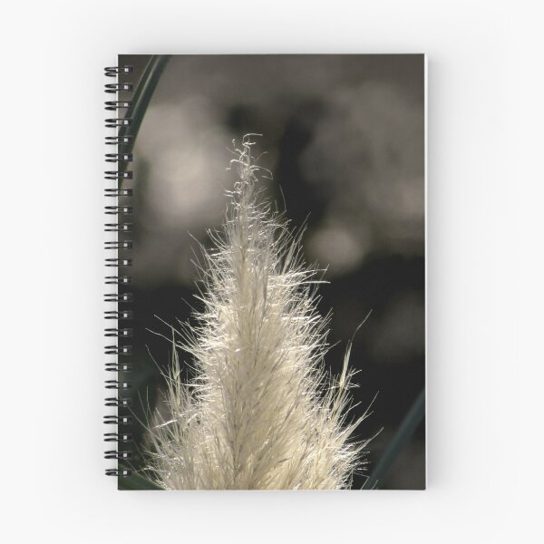Item preview, Sunlit Pampasgrass designed and sold by Ellen Cotton.